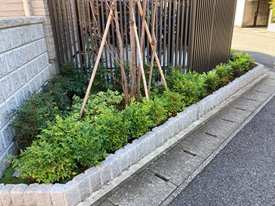 セットバックのイメージ